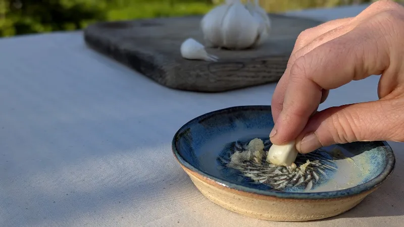 Garlic Graters